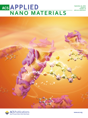 LetPub 期刊封面实例  , ACS Applied Nano Materials Cover 2