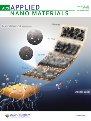 LetPub 期刊封面实例  , ACS Applied Nano Materials Cover 5